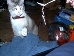IMAG0197.JPG