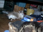 IMAG0199.JPG