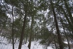 DSC07762.jpg