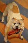 Jersey Dog - Ed Bronstein
