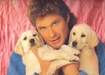 H and Puppies.jpg