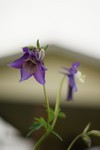 DSC05309.JPG