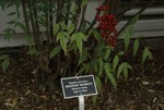 DSC05532.JPG