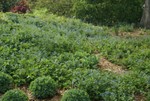 DSC05567.JPG