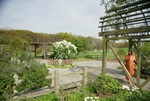DSC05580.JPG