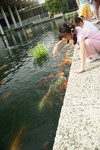 DSC05523.JPG