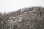 DSC01948.JPG