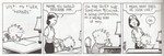 c&h-companion