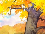c&h - tree 1024