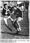 rugby