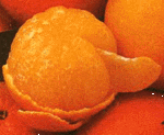ORANGE~2