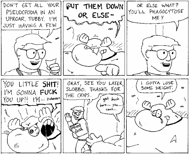 fritos2