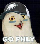 orly-phly